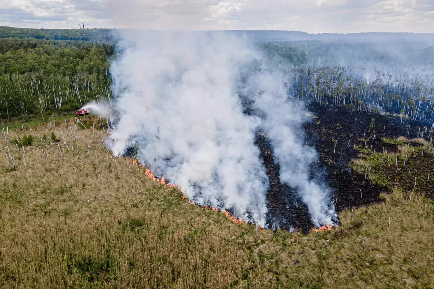 Maailma metsatulekahjud vähenevad, vaatamata müüdava meedia katastroofilistele pealkirjadele