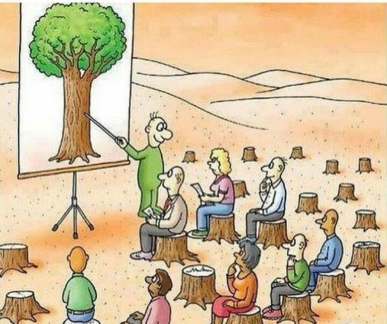 Kui viimane puu on maha raiutud, viimane kala püütud, viimane jõgi mürgitatud, siis alles siis mõistame, et raha ei saa süüa