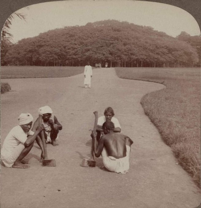 Praegu 255-aastane hiiglaslik banjaanipuu Calcuttas