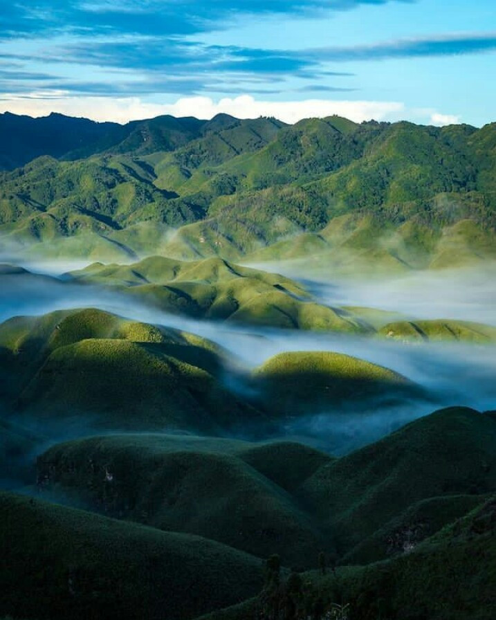 Dzukou org, Nagaland