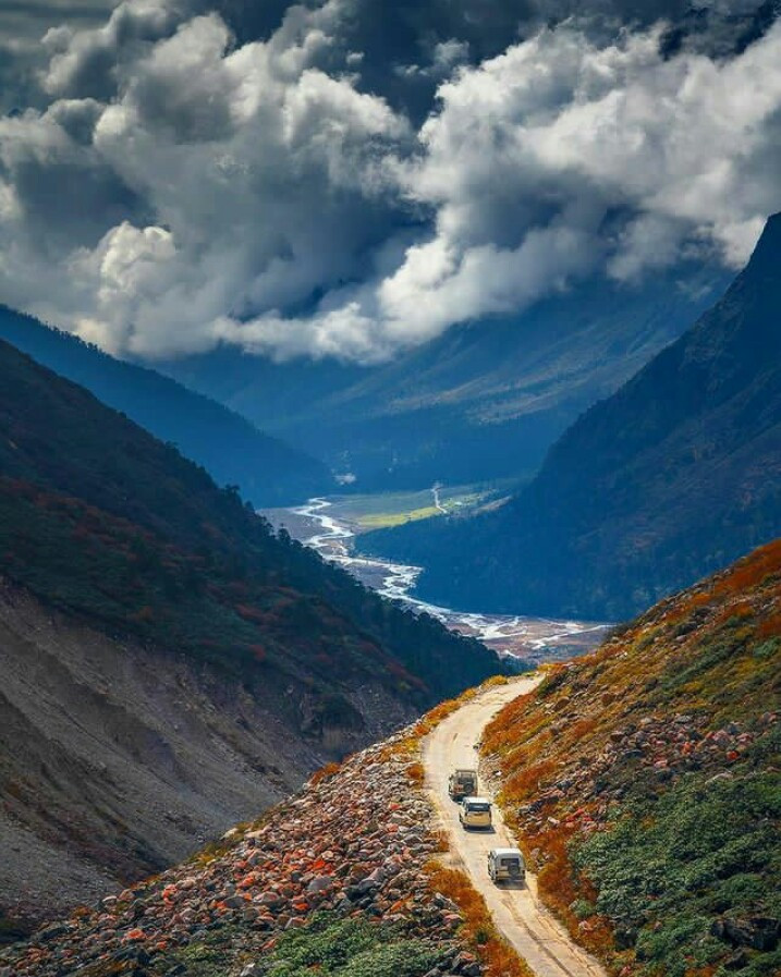 Yumthangi org, Sikkim