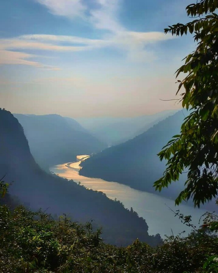 Sharavathi org, Karnataka