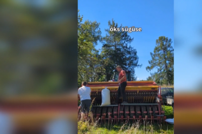 Sotsiaalmeediasse jõudmine on aidanud kaasa võru keele levikule