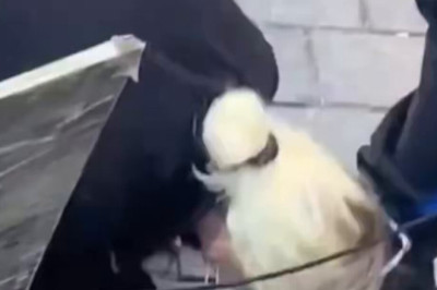 Liberaalsed naised on probleem