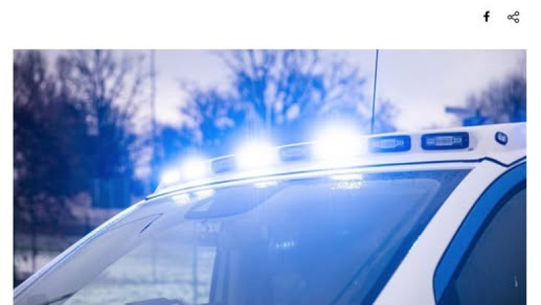 Meie propagandateenistusele iseloomulik artikkel