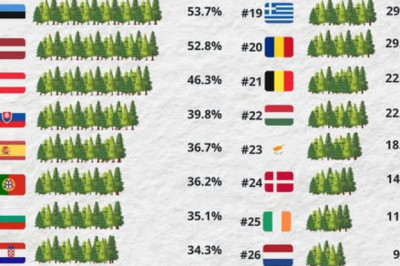 Mets ja metsatööstus