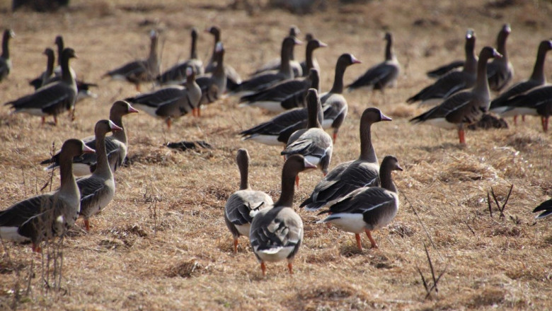 PÄEVAHOROSKOOP: esmaspäev, 24. märts
