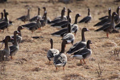 PÄEVAHOROSKOOP: esmaspäev, 24. märts