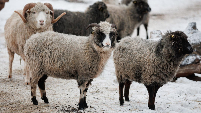 PÄEVAHOROSKOOP: pühapäev, 23. märts