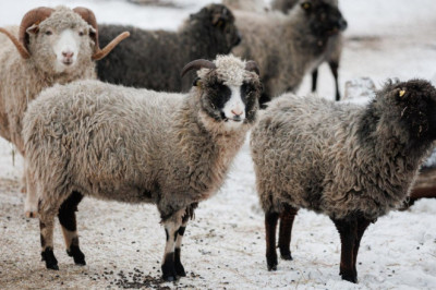 PÄEVAHOROSKOOP: pühapäev, 23. märts