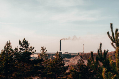 Andra Aaloe: haisu jõud ja haisu hääled