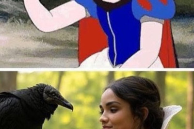 Kuidas on asjad aja jooksul muutunud