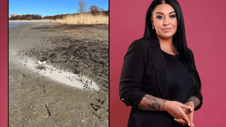 Merily Timmer: surnu tuha laiali loopimine on lugupidamatu ja ebaeetiline!