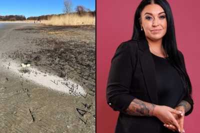 Merily Timmer: surnu tuha laiali loopimine on lugupidamatu ja ebaeetiline!