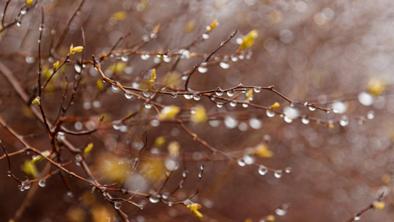 PÄEVAHOROSKOOP: teisipäev, 25. märts