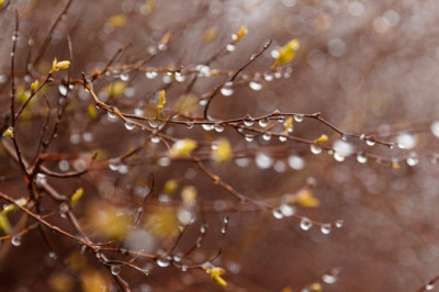 PÄEVAHOROSKOOP: teisipäev, 25. märts