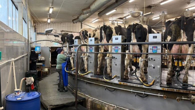 Helenius ei suutnud ettevõtet Estonia Farmid osta