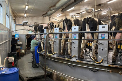 Helenius ei suutnud ettevõtet Estonia Farmid osta