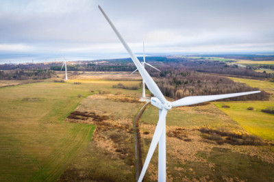 “Roheline mõtteviis” näitab hääbumise märke, põhjus võib peituda igas mõttes ülepingutatud rohepöördes