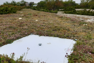Maa- ja Ruumiamet alustab aeromõõdistamist