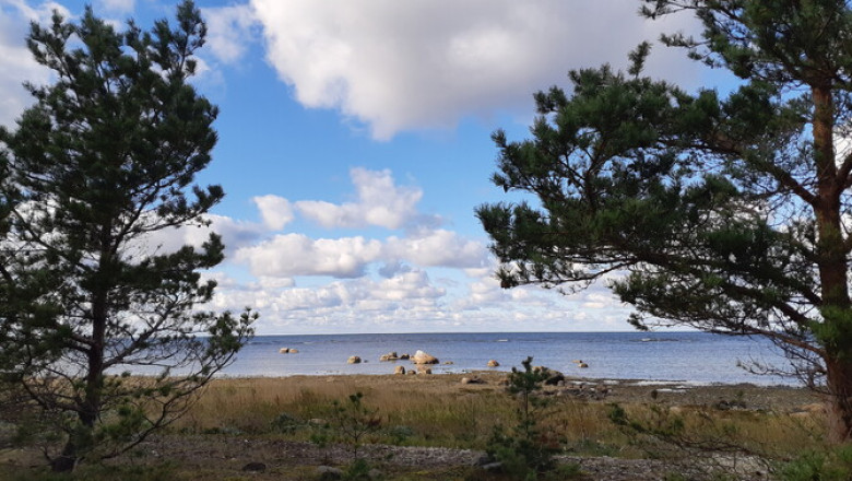 Neljapäev on päikeseline, kuid tuul tugevneb