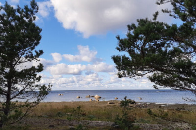 Neljapäev on päikeseline, kuid tuul tugevneb