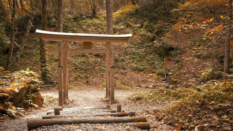 Presidendi kultuurirahastu noore inseneri preemia pälvis Tuule Mall Parts