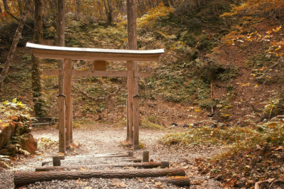 Presidendi kultuurirahastu noore inseneri preemia pälvis Tuule Mall Parts