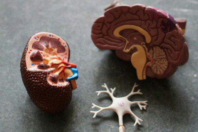 Ajudeta kehad leevendaks organipõuda ja edendaks arstiteadust