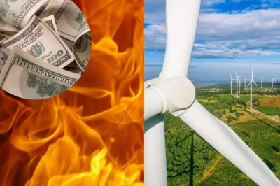 Evelin Poolamets: Tihti kavandatakse tuuleparke looduskaitsealade vahetusse lähedusse või otse rohevõrgustiku aladele