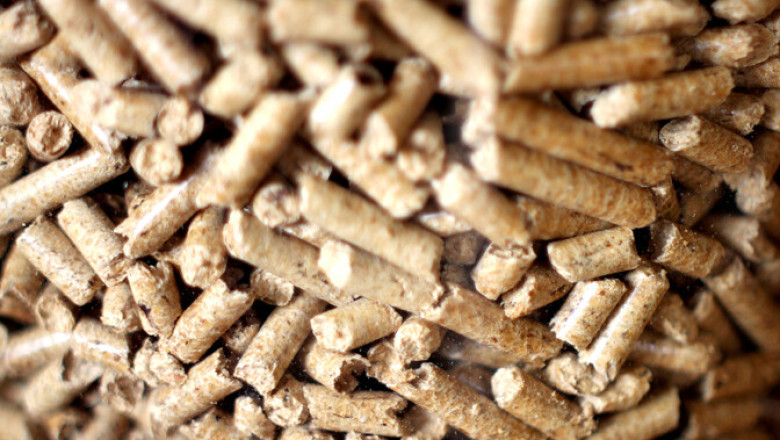 Graanul Invest: Narva elektrijaamad saaks puidule ümber seadistada