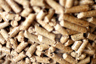 Graanul Invest: Narva elektrijaamad saaks puidule ümber seadistada