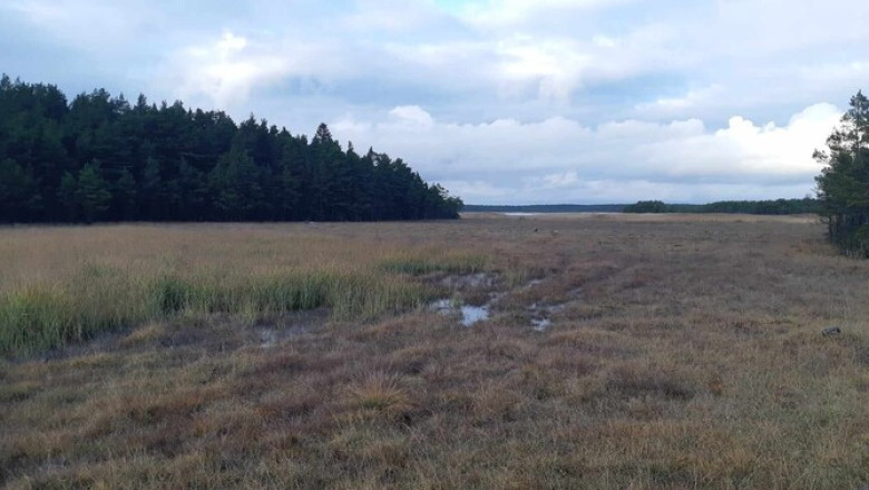 Reede on kergelt vihmane, kuid kevadiselt soe