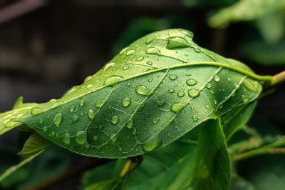 CO₂  ja kliimapoliitika- faktid, mõõdukus ja tõde