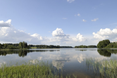 Valitsus vähendab keskkonnavaldkonnas bürokraatiat