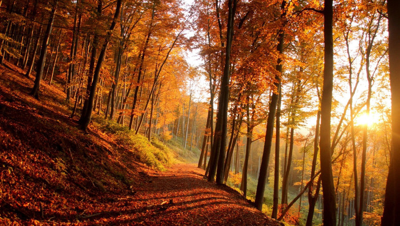 26. märtsil oli ajalooline päev - kohtunik läks isiklikult Nursipallu