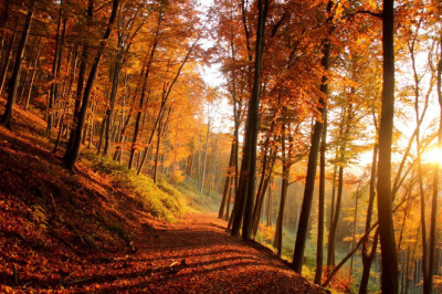 26. märtsil oli ajalooline päev - kohtunik läks isiklikult Nursipallu