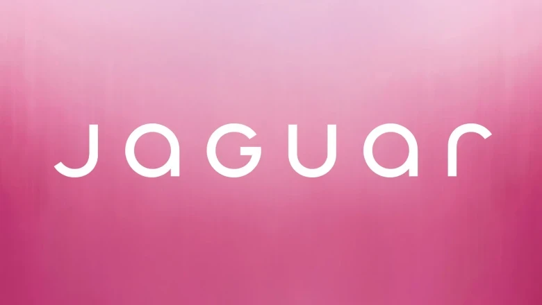 Jaguar tegi 2024. aasta kõige kallima vea