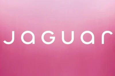 Jaguar tegi 2024. aasta kõige kallima vea