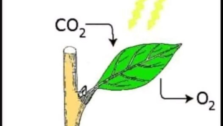 Looduslik valem, mille abil saab toota jõukust
