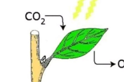 Looduslik valem, mille abil saab toota jõukust