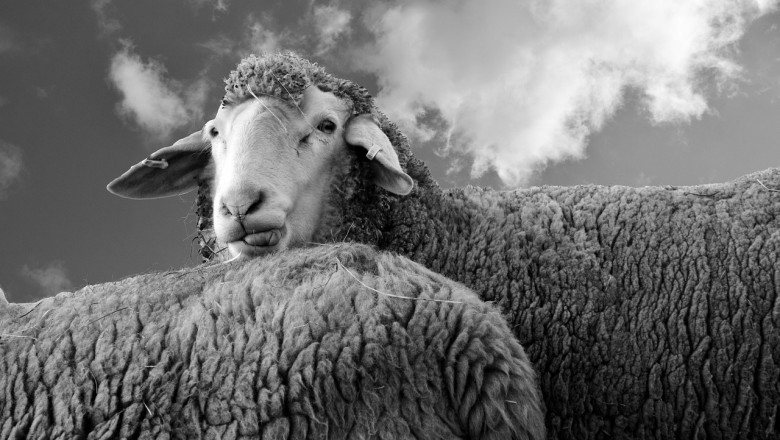 Poeparklate eelkaabeldamine maksab kaks miljardit