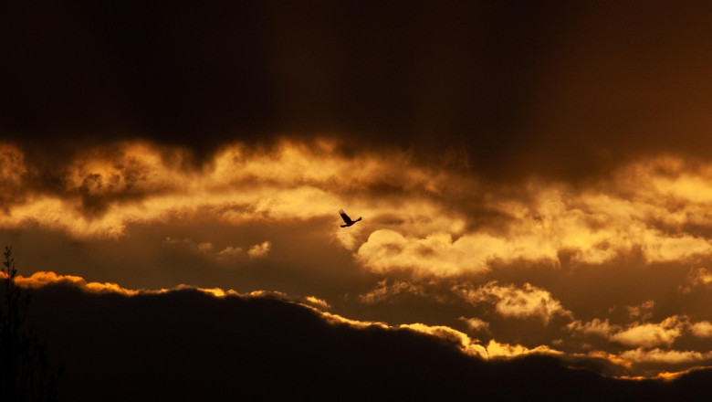 20 aastat hiljem: venelased tulevad tagasi