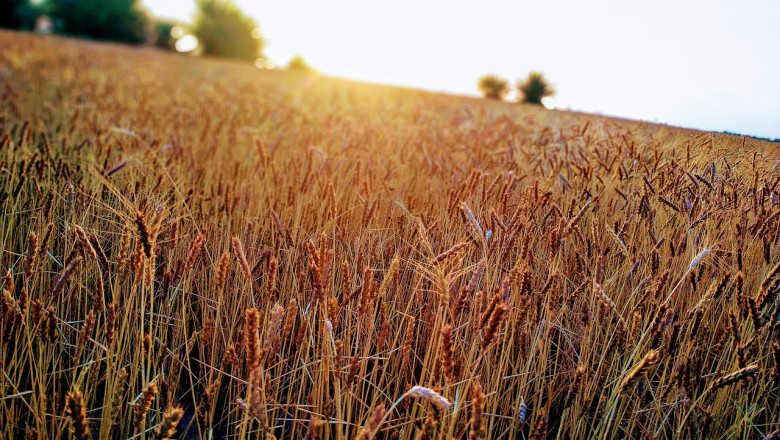 USA tollipoliitika tagamaadest