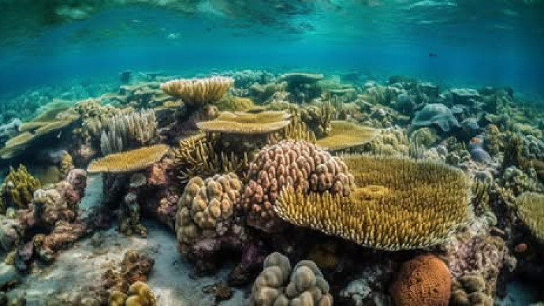 Vallrahu meedia pettus paljastati: rekordiline kasv tõestab, et CO² hullumeelsus on vale