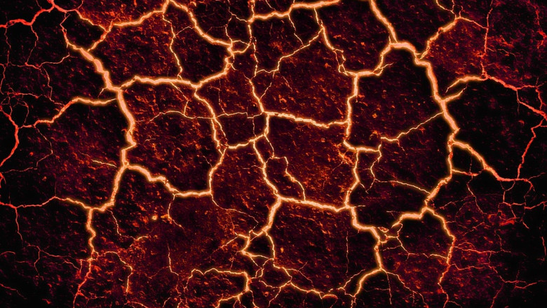 Idiotism: Rohepööre metsade hävitamisega