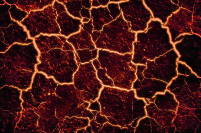 Idiotism: Rohepööre metsade hävitamisega