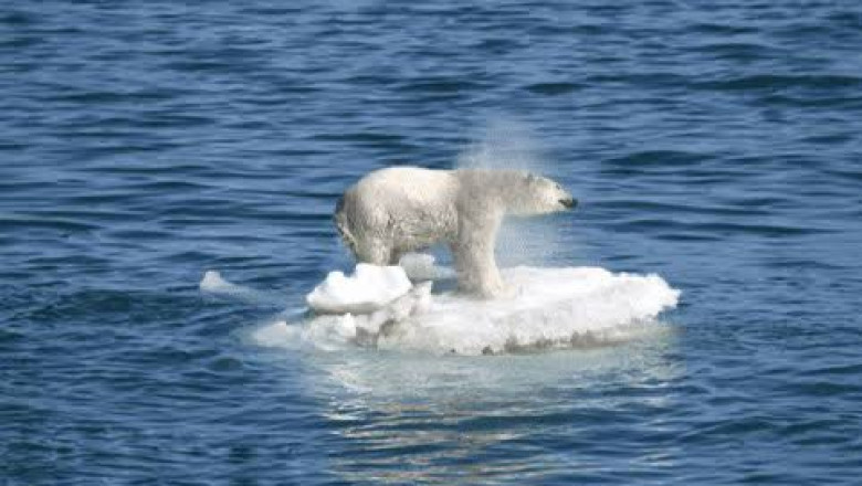 Arktika merejää saavutas 2024. aastal viimase 21 aasta suurima ulatuse