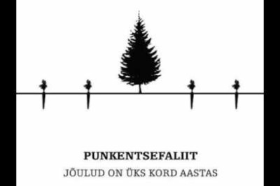 Punkentsefaliit- Jõulud on üks kord aastas