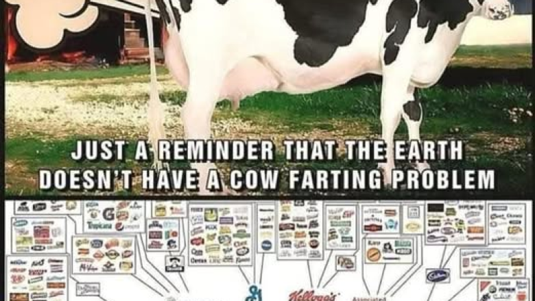 Politseisse pöördus üks vanem daam kaebusega, et teda olla vägistatud